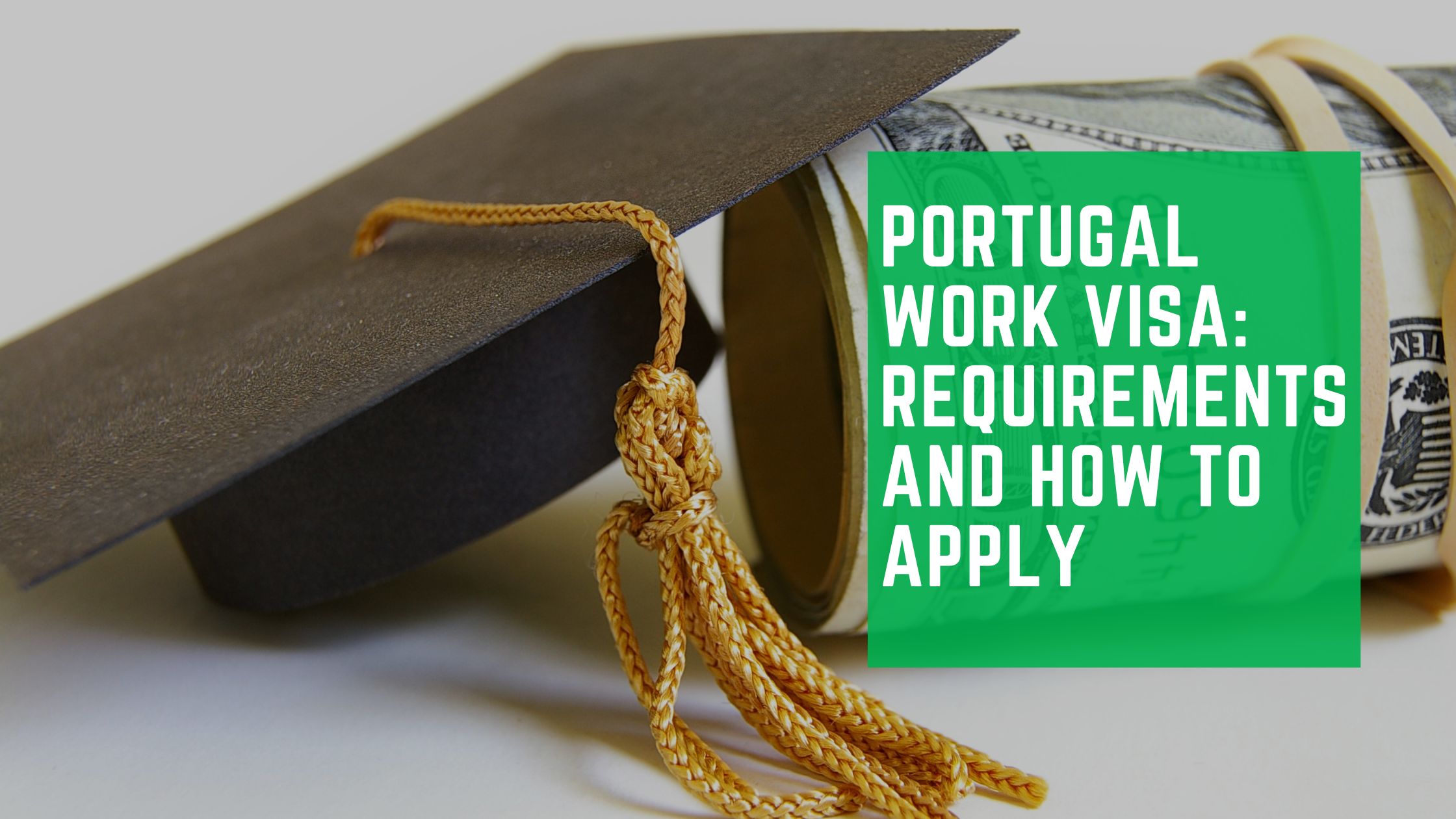 Read more about the article Best international Student Loans With No Co-Signer – Apply Now