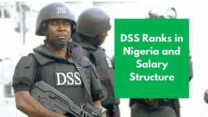 Read more about the article DSS Ranks in Nigeria and Salary Structure