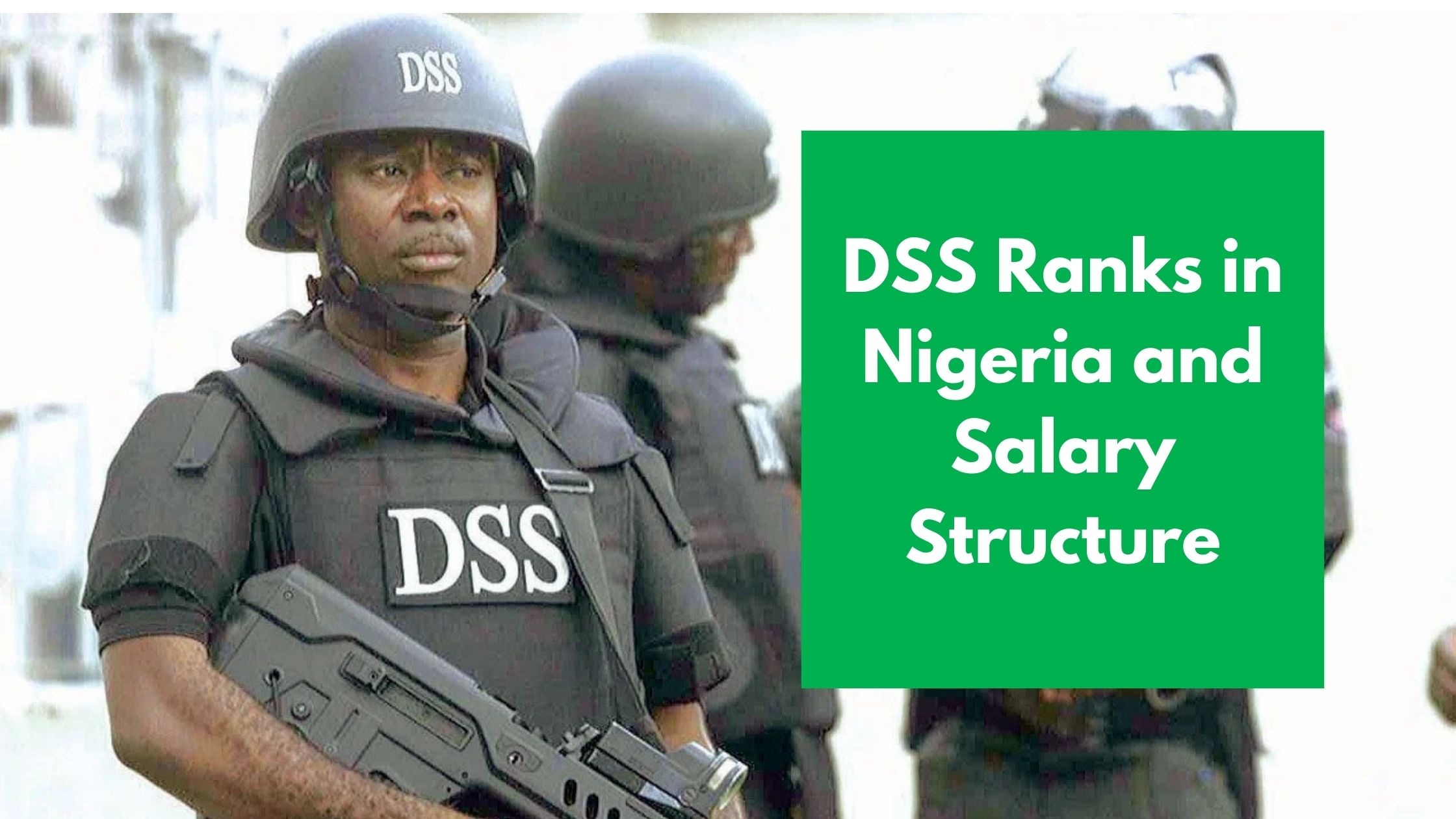 Read more about the article DSS Ranks in Nigeria and Salary Structure